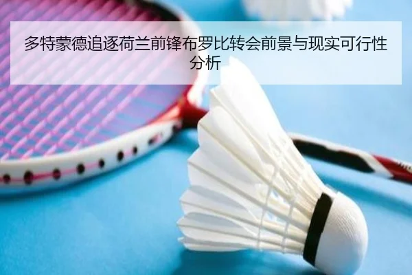 多特蒙德追逐荷兰前锋布罗比转会前景与现实可行性分析