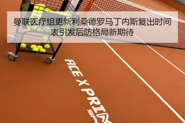 曼联医疗组更新利桑德罗马丁内斯复出时间表引发后防格局新期待