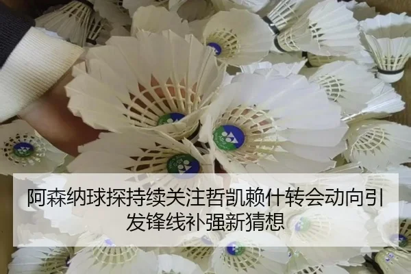 阿森纳球探持续关注哲凯赖什转会动向引发锋线补强新猜想