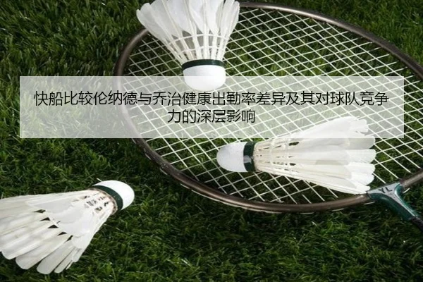 快船比较伦纳德与乔治健康出勤率差异及其对球队竞争力的深层影响 - kaiyun